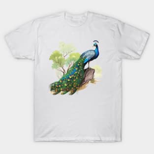 Peafowl T-Shirt